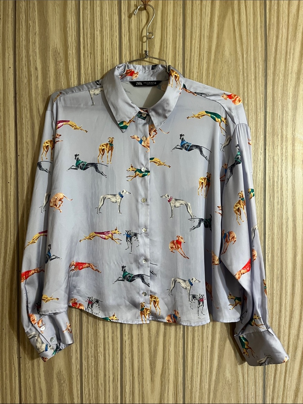 Zara Light purple Button-Down Shirt with Multicolor Greyhound Print